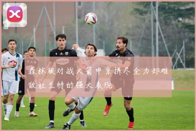 森林狼对战火箭申京拼尽全力却难敌杜兰特的强大表现